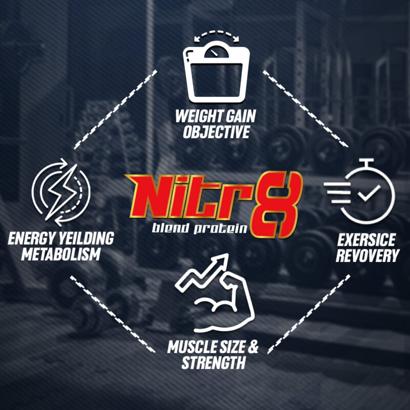 Nitr8 Blend Protein